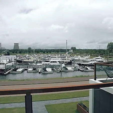 Biesbosch