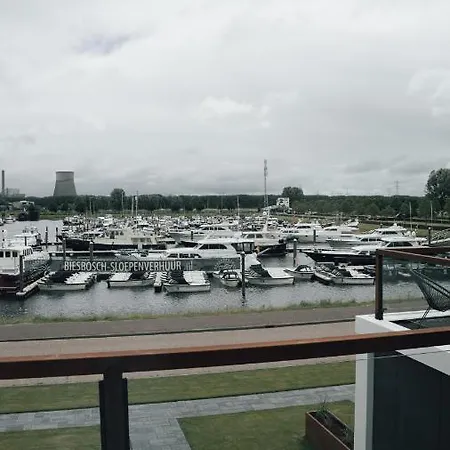 酒店 Biesbosch 德里默伦