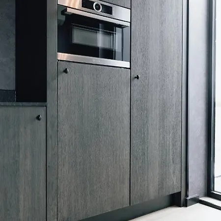 Biesbosch 德里默伦